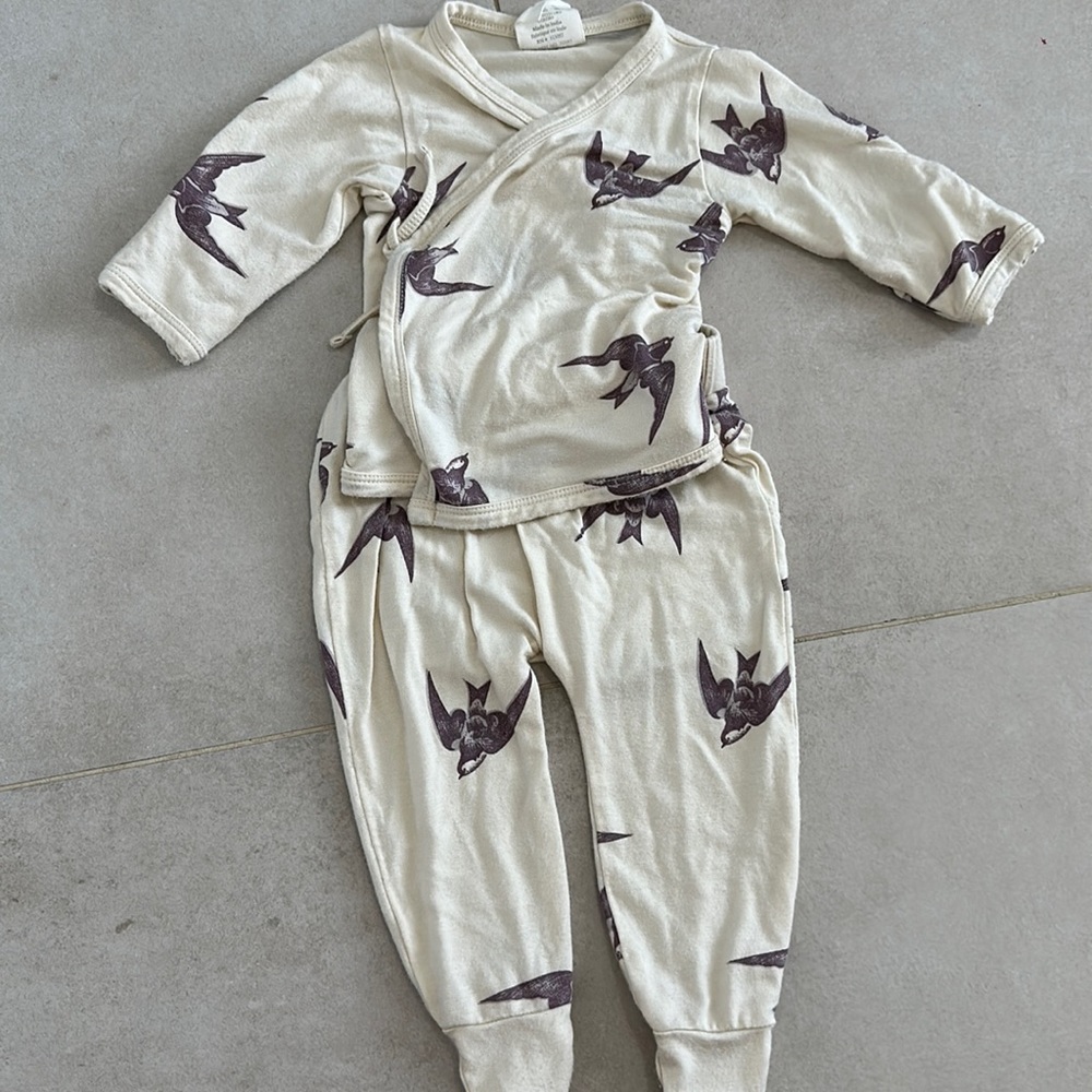 Kate quinn set